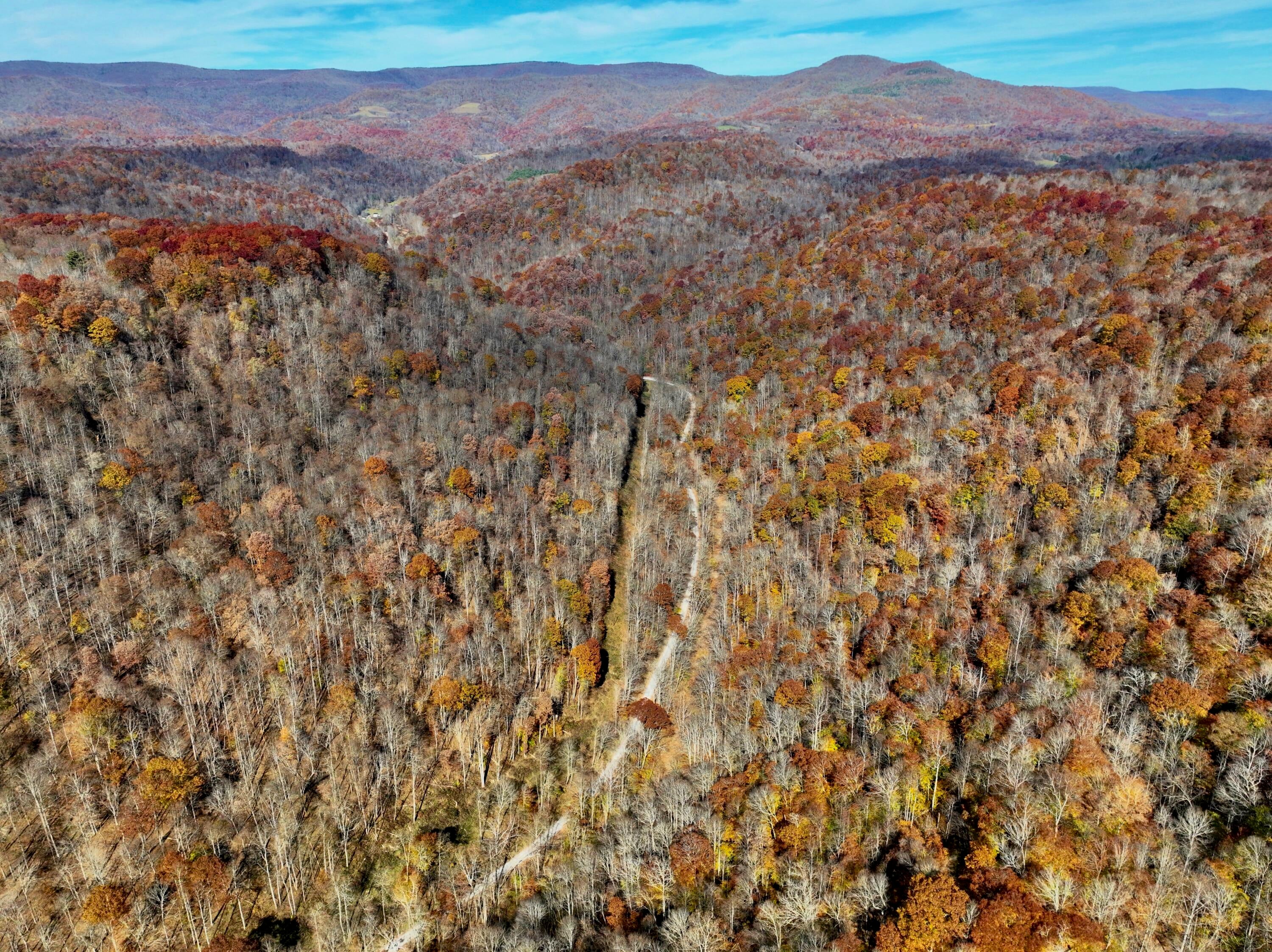 Robins Fork Road Renick, WV 24966 - Photo 24 of 34 Gallery Image 24
