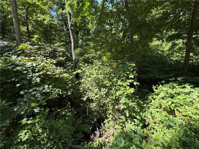 $24,999 | 53-57 & 65 Locust Drive, Mound City, KS 66056