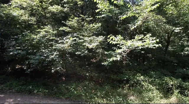 $24,999 | 53-57 & 65 Locust Drive, Mound City, KS 66056