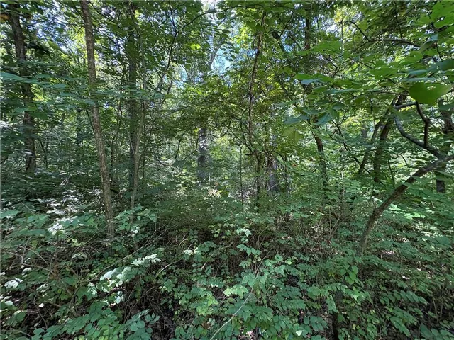 $24,999 | 53-57 & 65 Locust Drive, Mound City, KS 66056