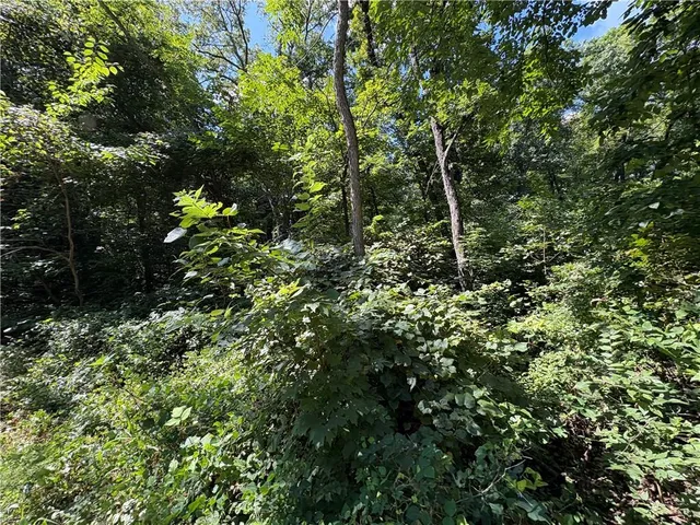 $24,999 | 53-57 & 65 Locust Drive, Mound City, KS 66056