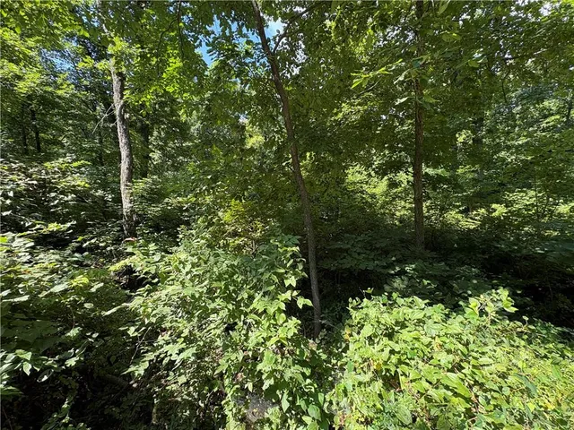 $24,999 | 53-57 & 65 Locust Drive, Mound City, KS 66056