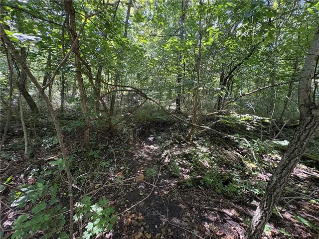 $24,999 | 53-57 & 65 Locust Drive, Mound City, KS 66056