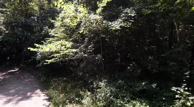 $24,999 | 53-57 & 65 Locust Drive, Mound City, KS 66056