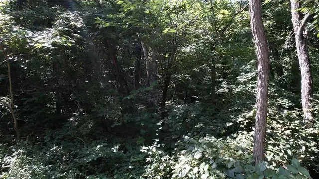 $24,999 | 53-57 & 65 Locust Drive, Mound City, KS 66056