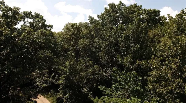 $24,999 | 53-57 & 65 Locust Drive, Mound City, KS 66056