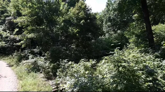 $24,999 | 53-57 & 65 Locust Drive, Mound City, KS 66056