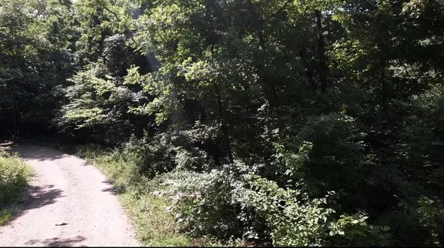 $24,999 | 53-57 & 65 Locust Drive, Mound City, KS 66056