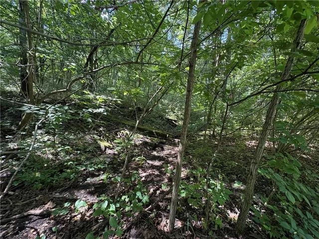 $24,999 | 53-57 & 65 Locust Drive, Mound City, KS 66056