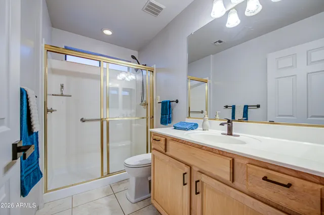 a bathroom with a sink a toilet a large mirror and shower
