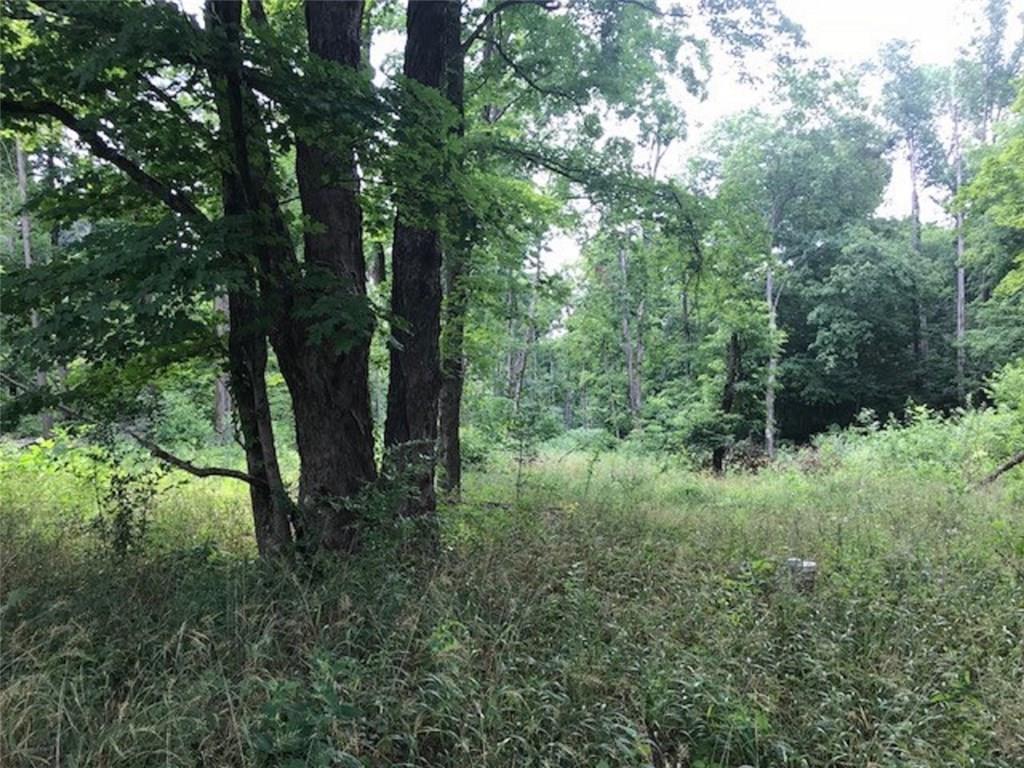 5461 Flowing Well Road Poland, IN 47868 - Photo 3 of 15
