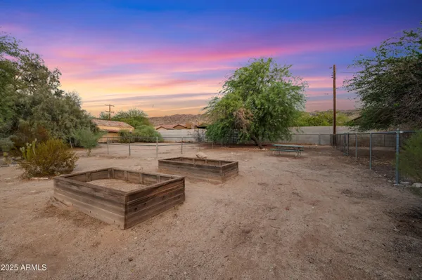 a view of a dry yard with trees