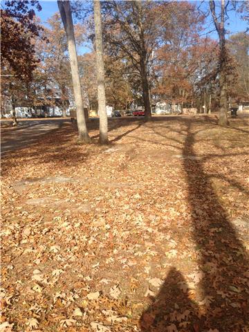 692 Miller Estates Road Smyrna, TN 37167 - Photo 2 of 10 Large Front Yard!