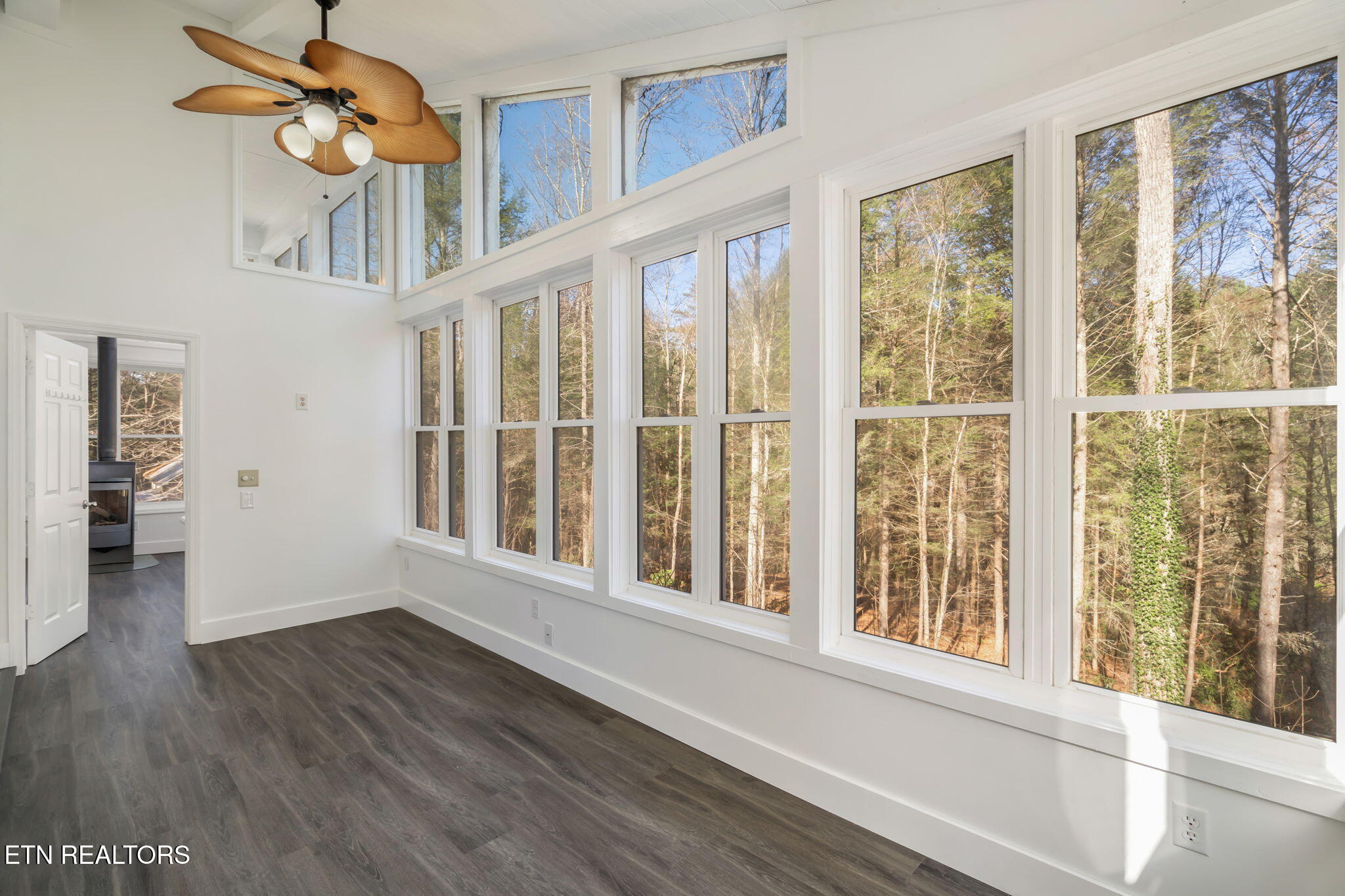 135 White Creek Court Deer Lodge, TN 37726 - Photo 29 of 57 Owners Suite Bonus Room