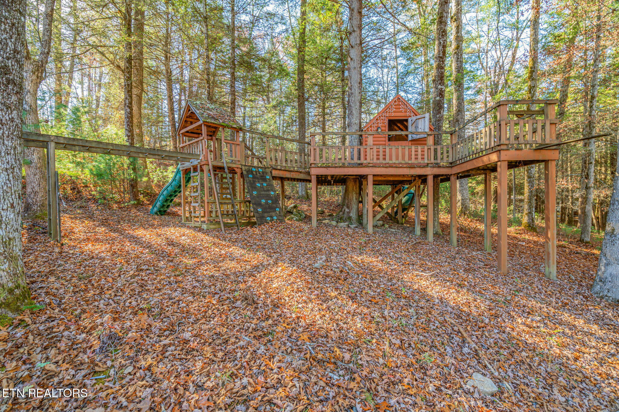 135 White Creek Court Deer Lodge, TN 37726 - Photo 54 of 57 Playground