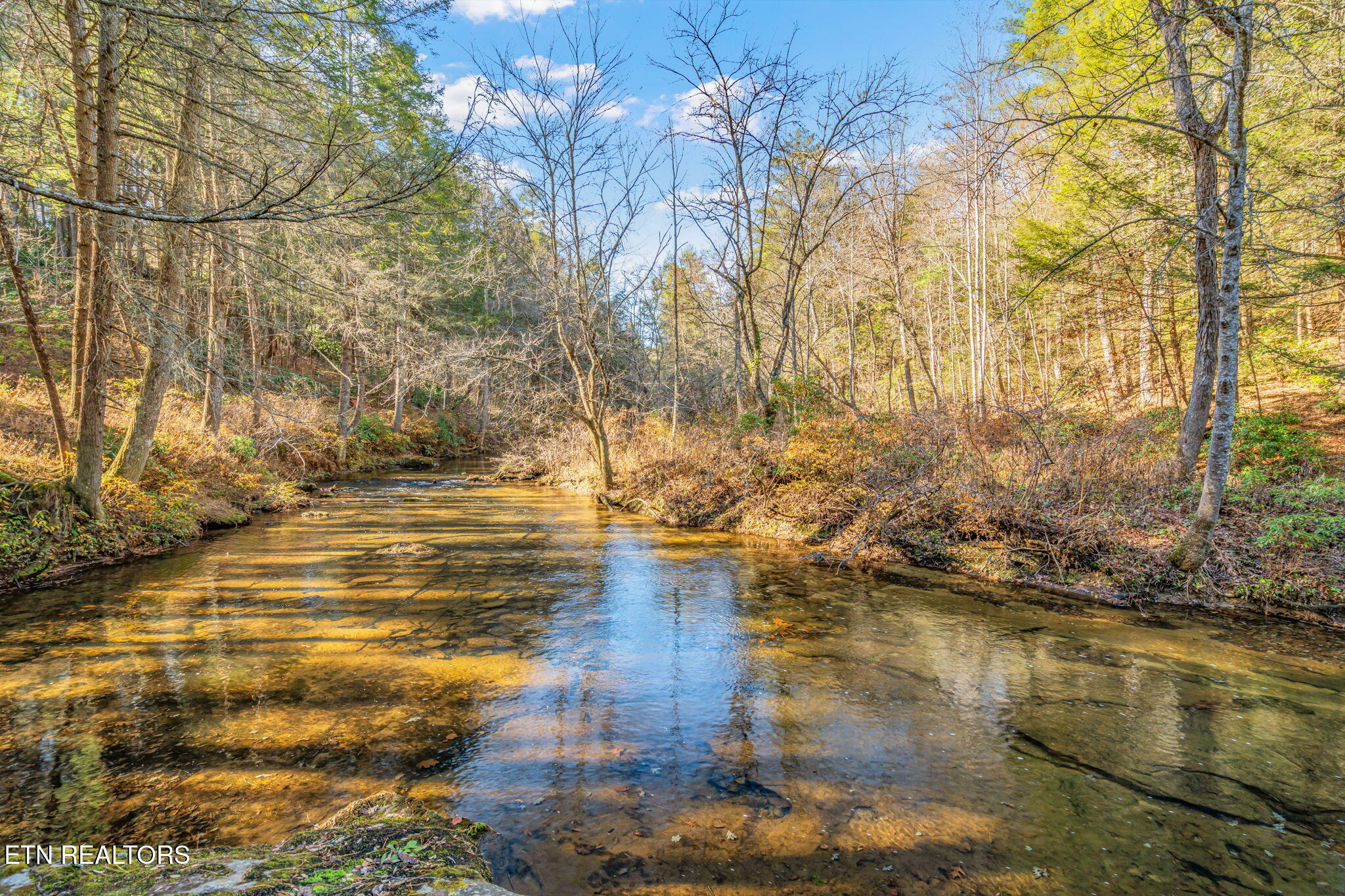 135 White Creek Court Deer Lodge, TN 37726 - Photo 7 of 57 135 White Creek Ct.