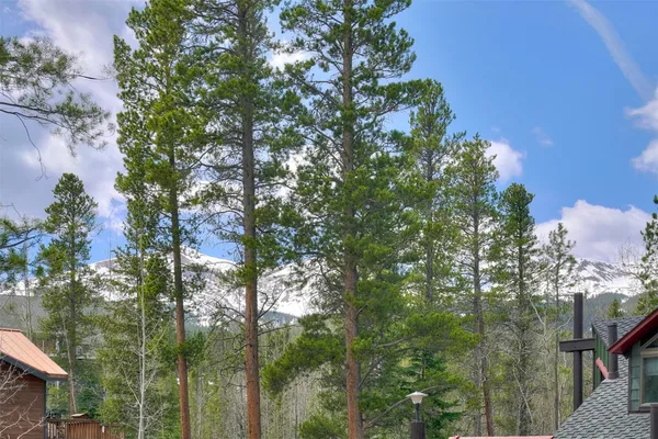 $1,299,000 | 173 Lone Hand Way, Breckenridge, CO 80424