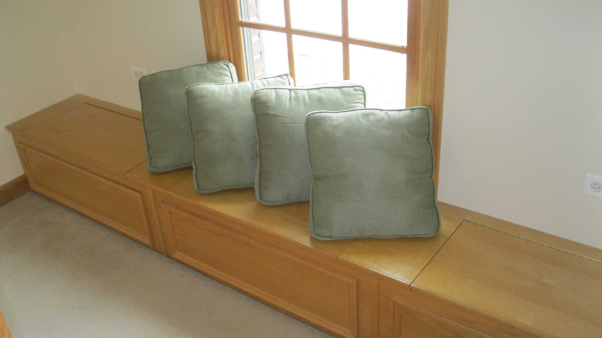 6778 Old College Road Lisle, IL 60532 - Photo 19 of 31