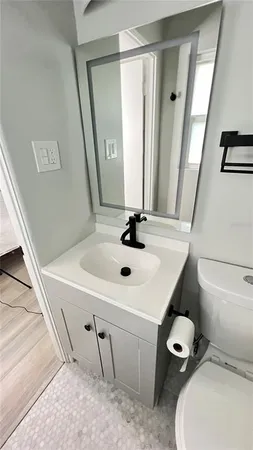 a bathroom with a sink a toilet and mirror