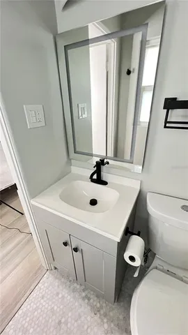 a bathroom with a sink a toilet and mirror