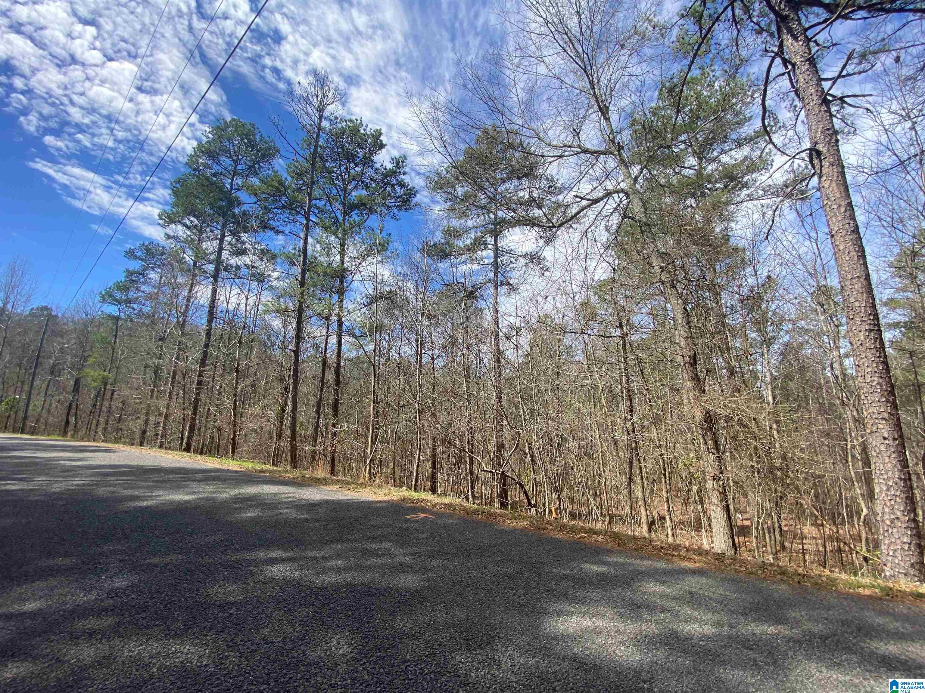Springs Lane, Unit 12 Springville, AL 35146 - Photo 1 of 26