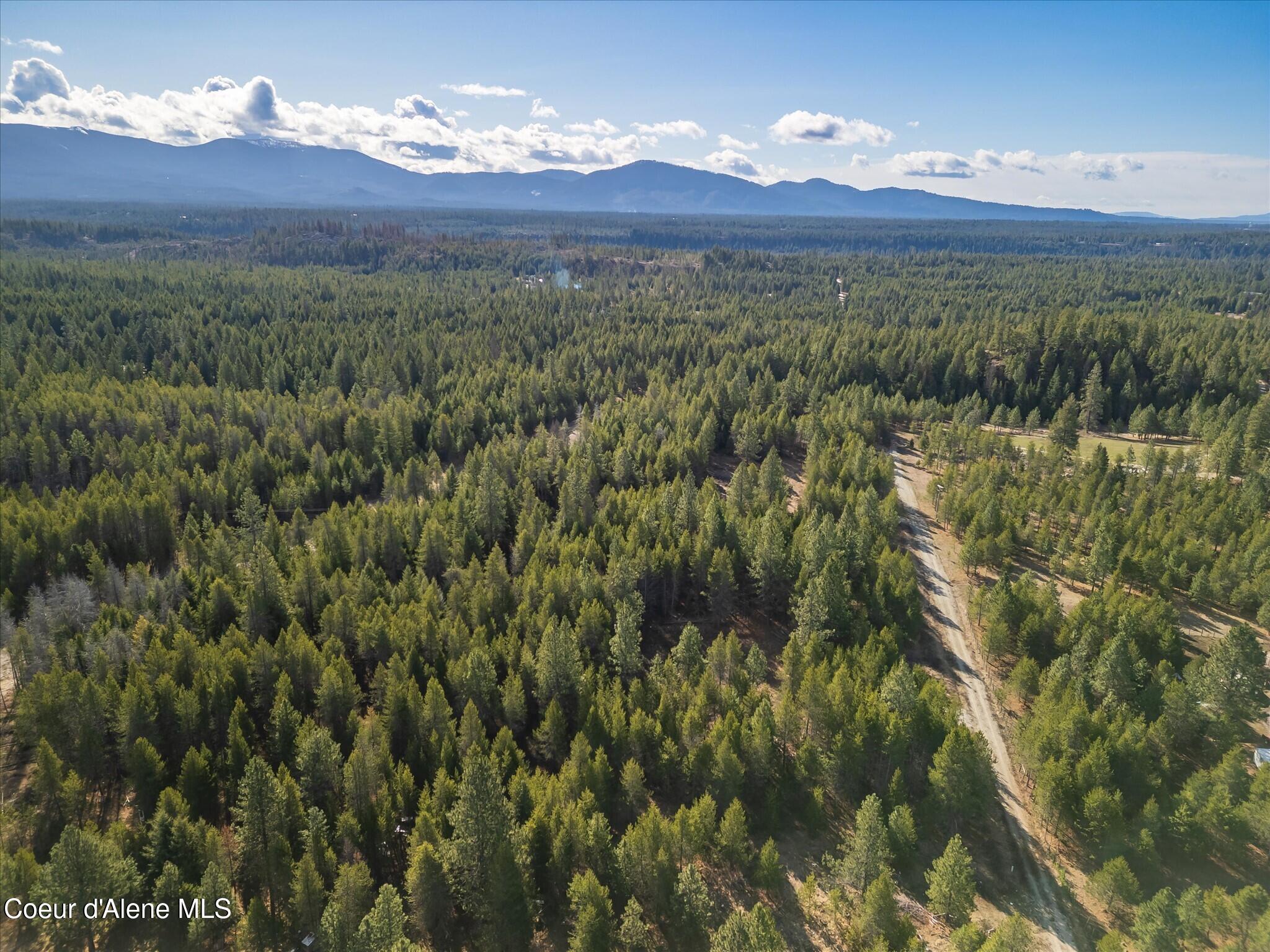 67 Pne Mdw Road Athol, ID 83801 - Photo 11 of 20 19-DJI_0253-HDR