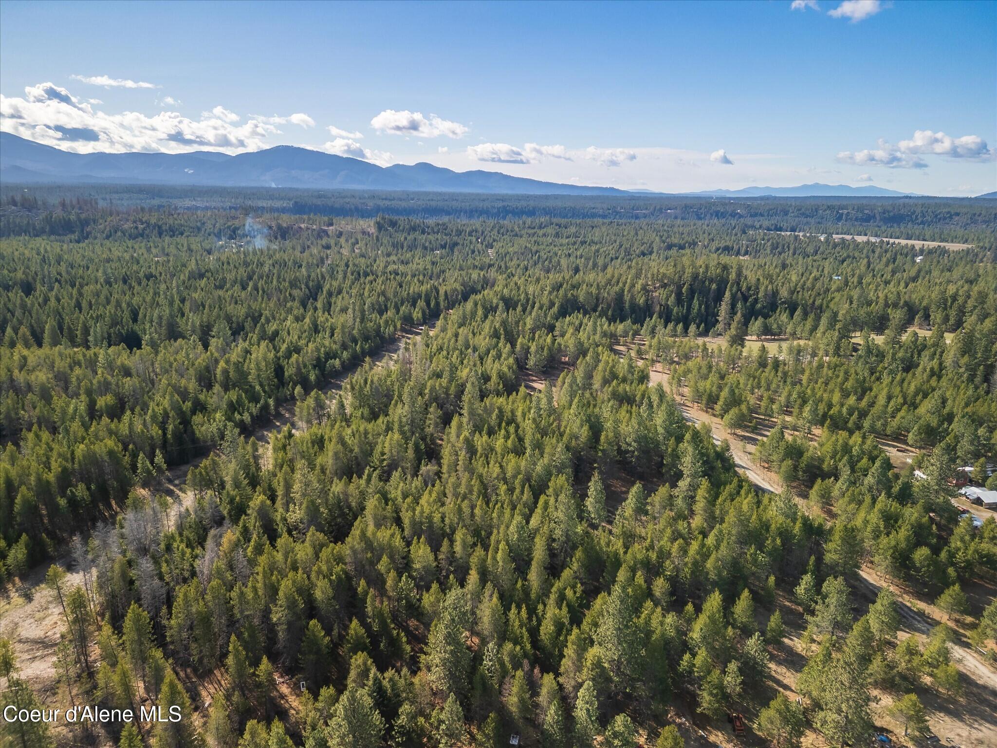 67 Pne Mdw Road Athol, ID 83801 - Photo 12 of 20 20-DJI_0258-HDR