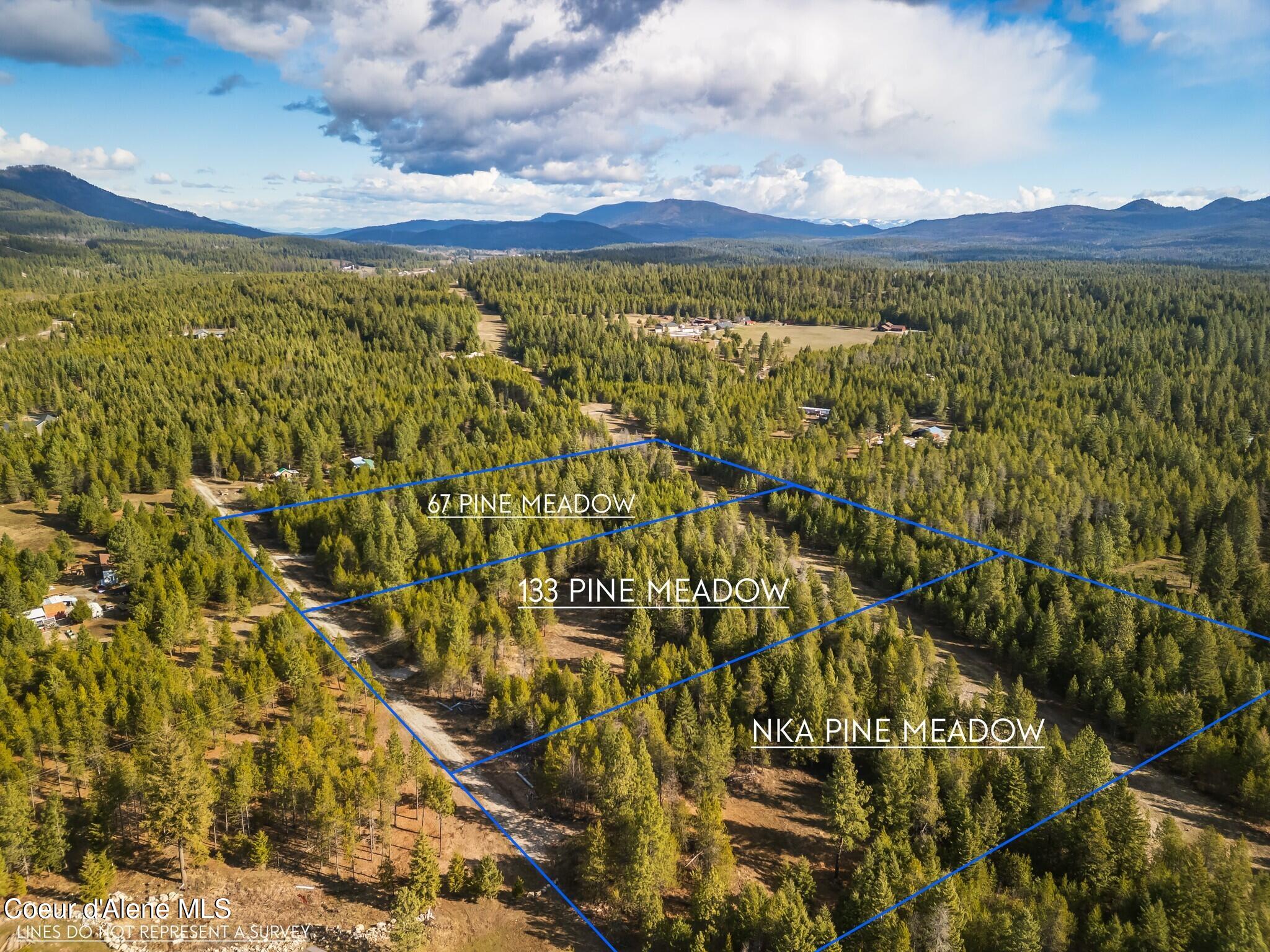 67 Pne Mdw Road Athol, ID 83801 - Photo 6 of 20 DJI_0228-HDR-Edit