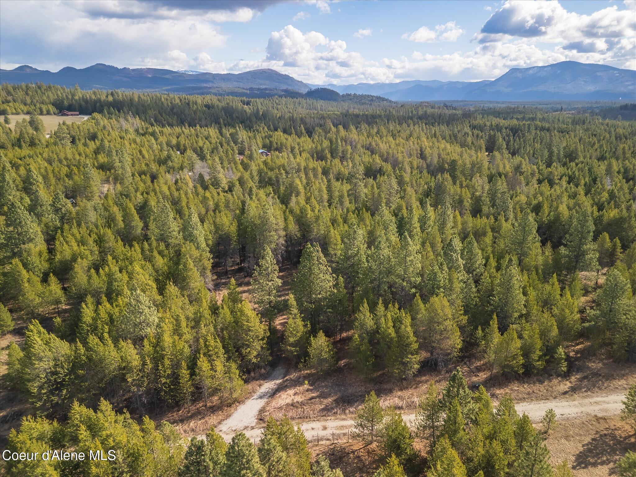 67 Pne Mdw Road Athol, ID 83801 - Photo 7 of 20 45-DJI_0398-HDR