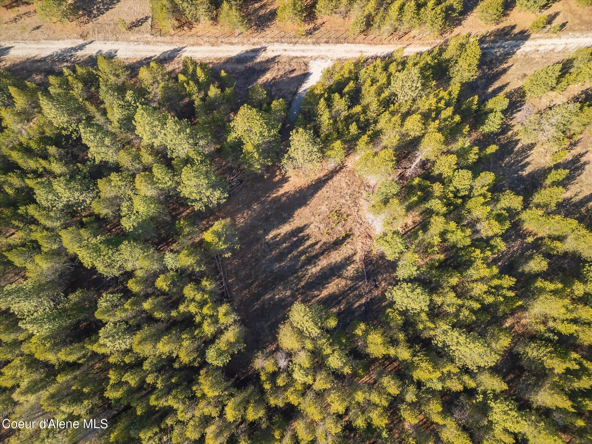 67 Pne Mdw Road Athol, ID 83801 - Photo 8 of 20 26-DJI_0288-HDR