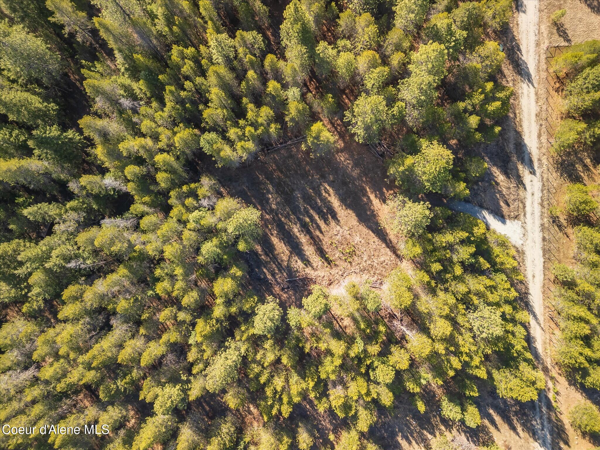67 Pne Mdw Road Athol, ID 83801 - Photo 9 of 20 27-DJI_0293-HDR