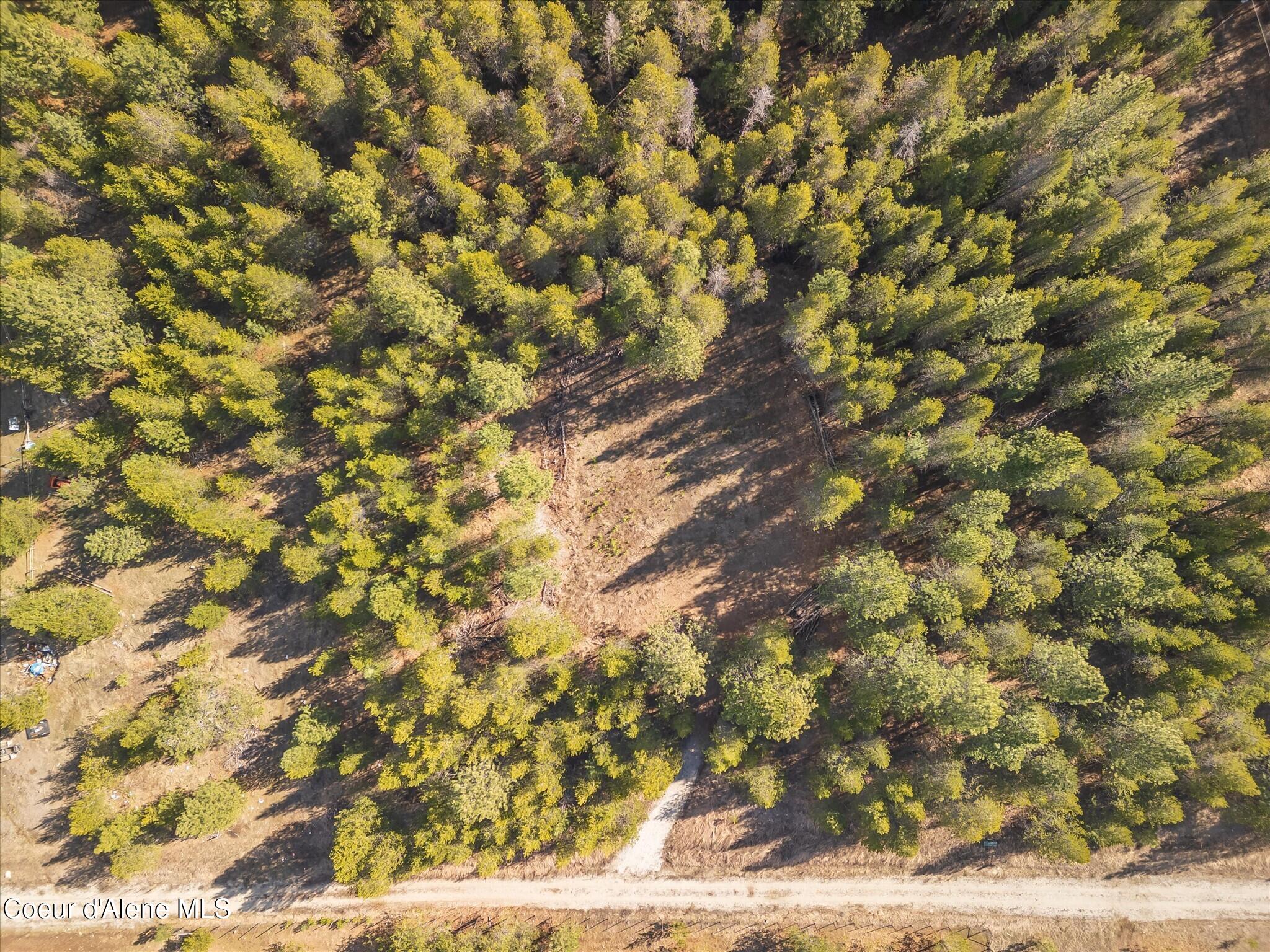 67 Pne Mdw Road Athol, ID 83801 - Photo 10 of 20 42-DJI_0383-HDR