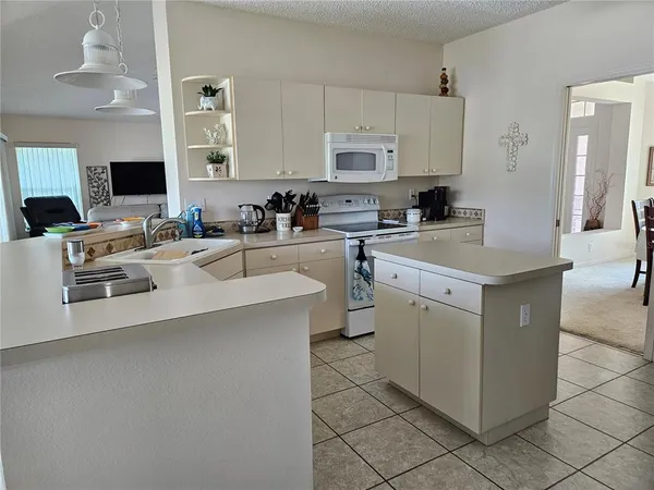 a kitchen with appliances a sink a counter top space and cabinets