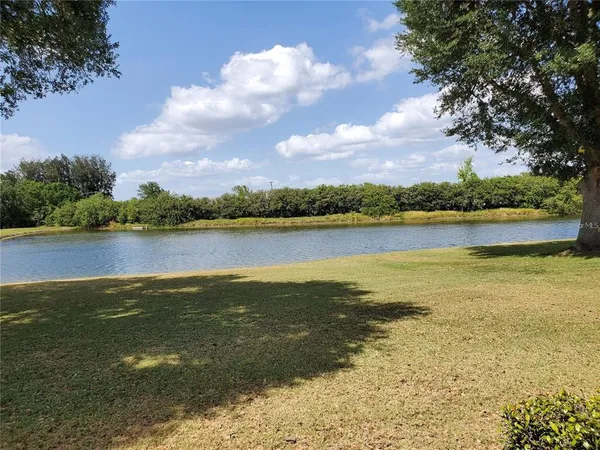 a view of an ocean and beach