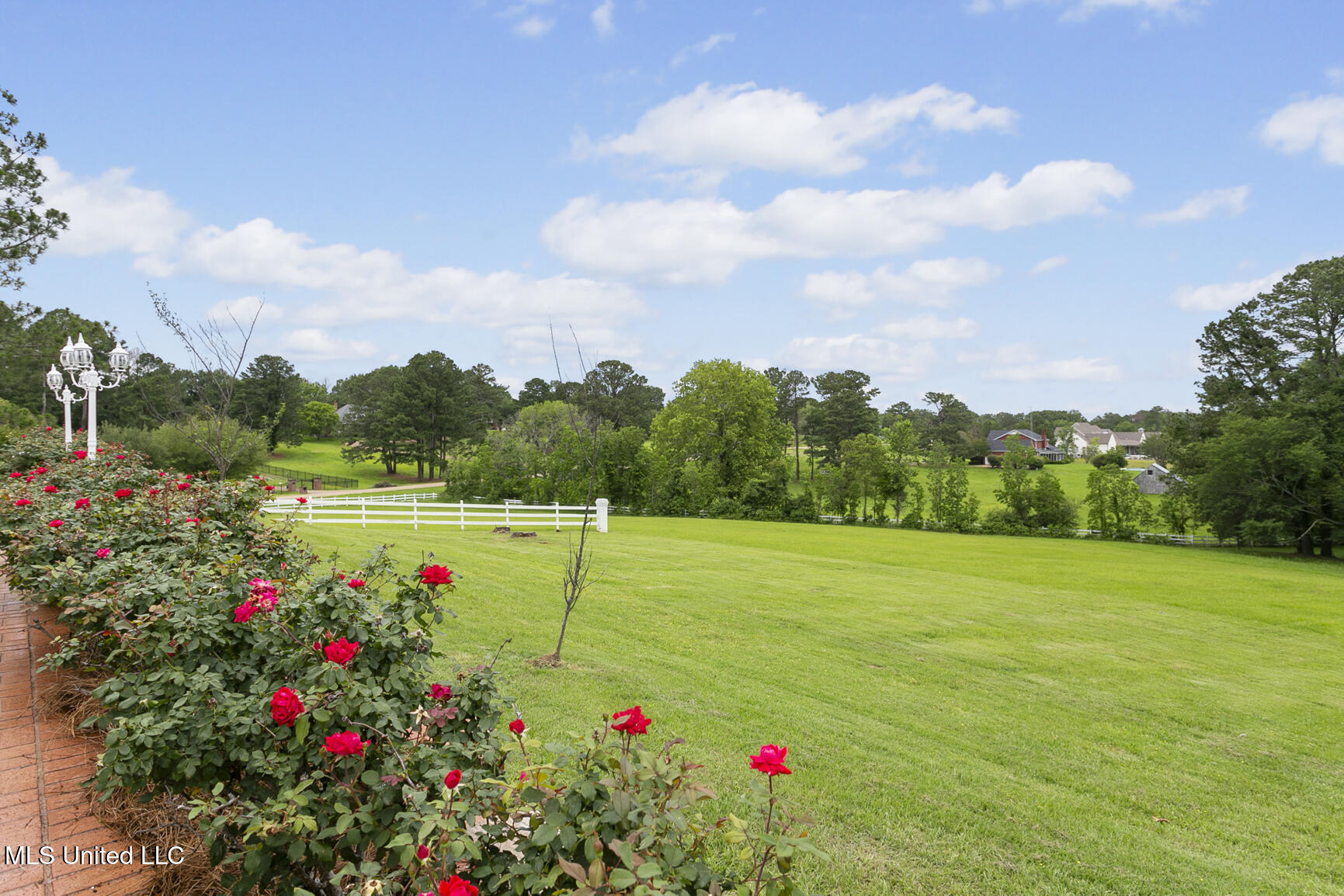8 12 Oaks Place Madison, MS 39110 - Photo 53 of 79 8 Twelve Oaks final-53