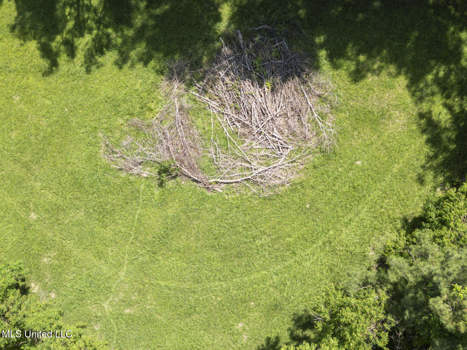 8 12 Oaks Place Madison, MS 39110 - Photo 59 of 79 8 twelve oaks final-5