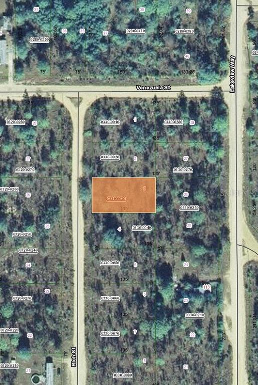 122 Rich Street Interlachen, FL 32148 - Photo 2 of 3