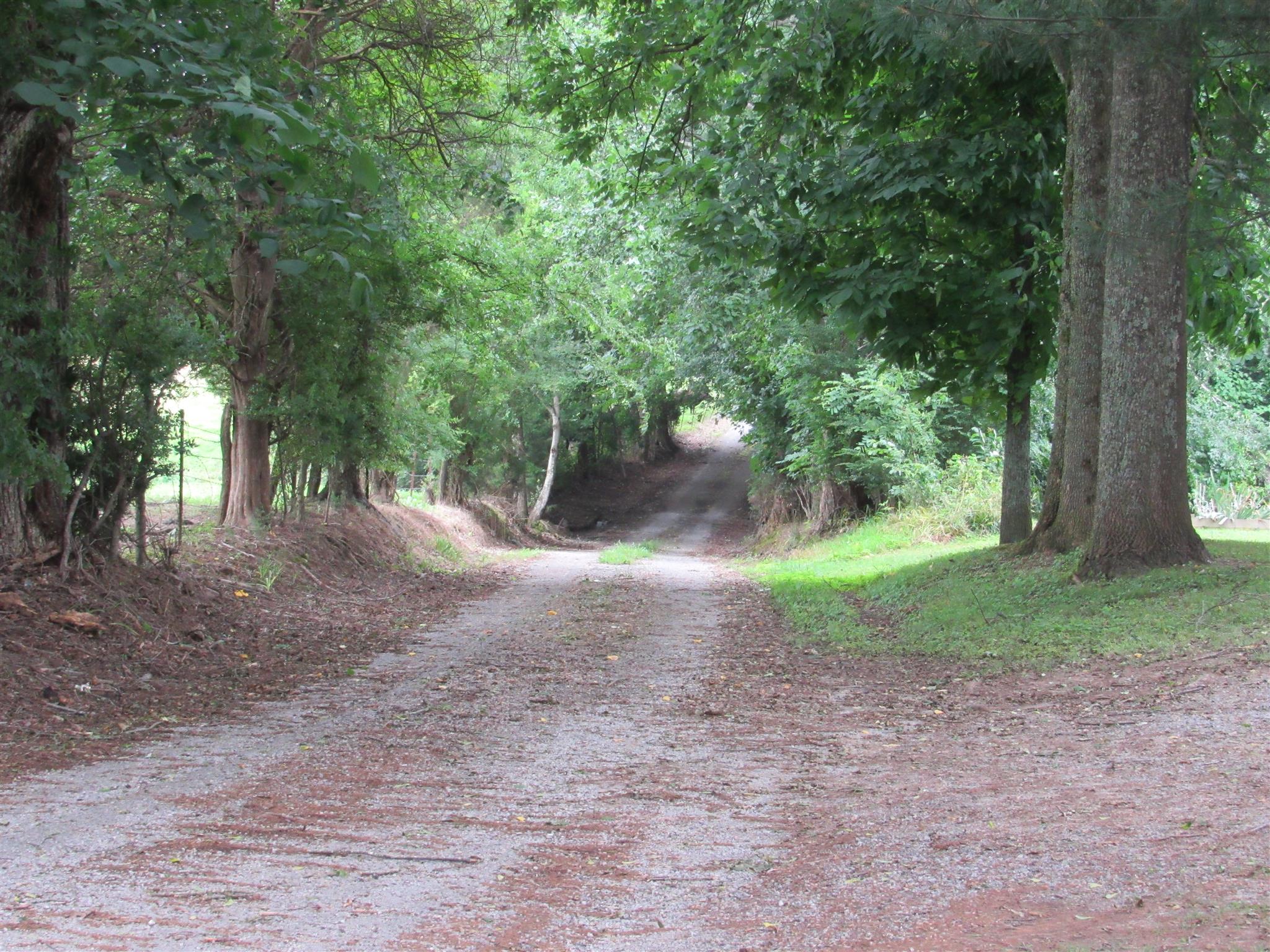 5354 Cathey Ridge Road Manchester, TN 37355 - Photo 22 of 22 a view of a forest with trees in the background