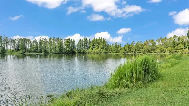 $599,000 | 1044 Timbers Drive, Fort Meade, FL 33841