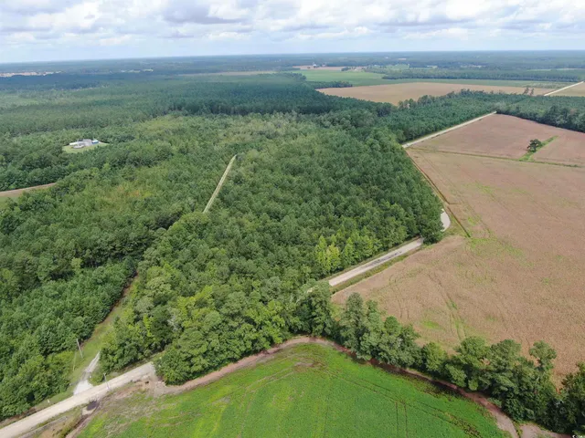 $225,000 | Tbd Tbd Shelley Path, Green Sea, SC 29545