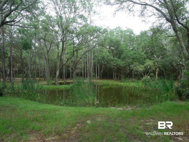 29840 Spring Branch Road West Elberta, AL 36530 - Photo 11 of 12 Pond