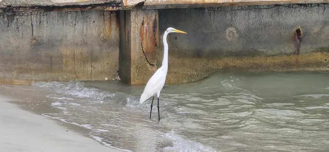 a view of a terrace with chairs
