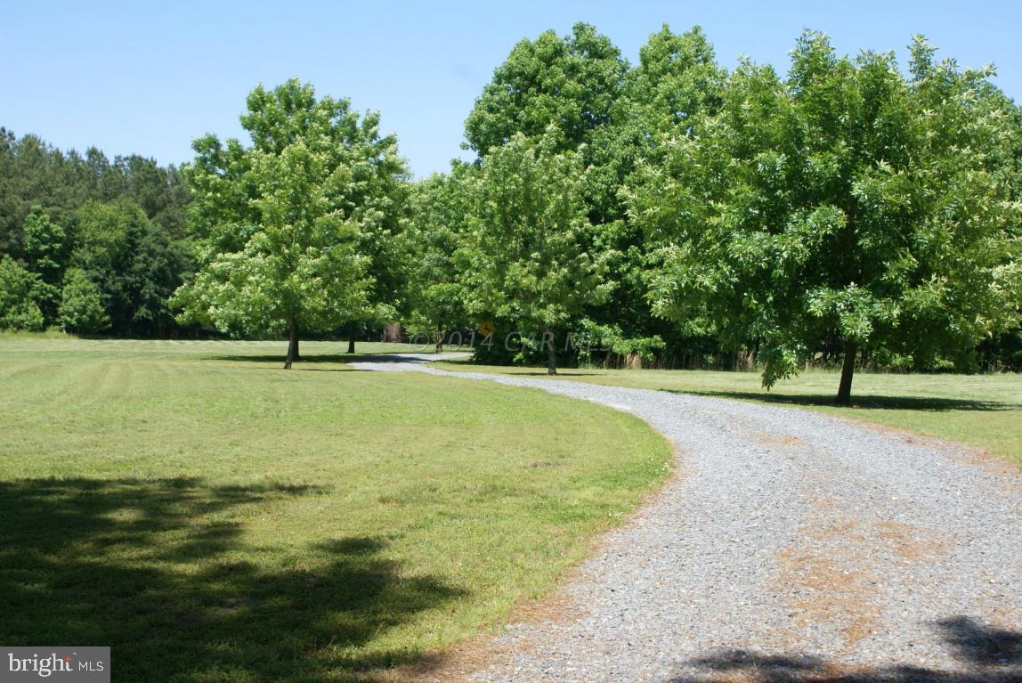 5086 Cooper Road Eden, MD 21822 - Photo 11 of 63 Gallery Image 11