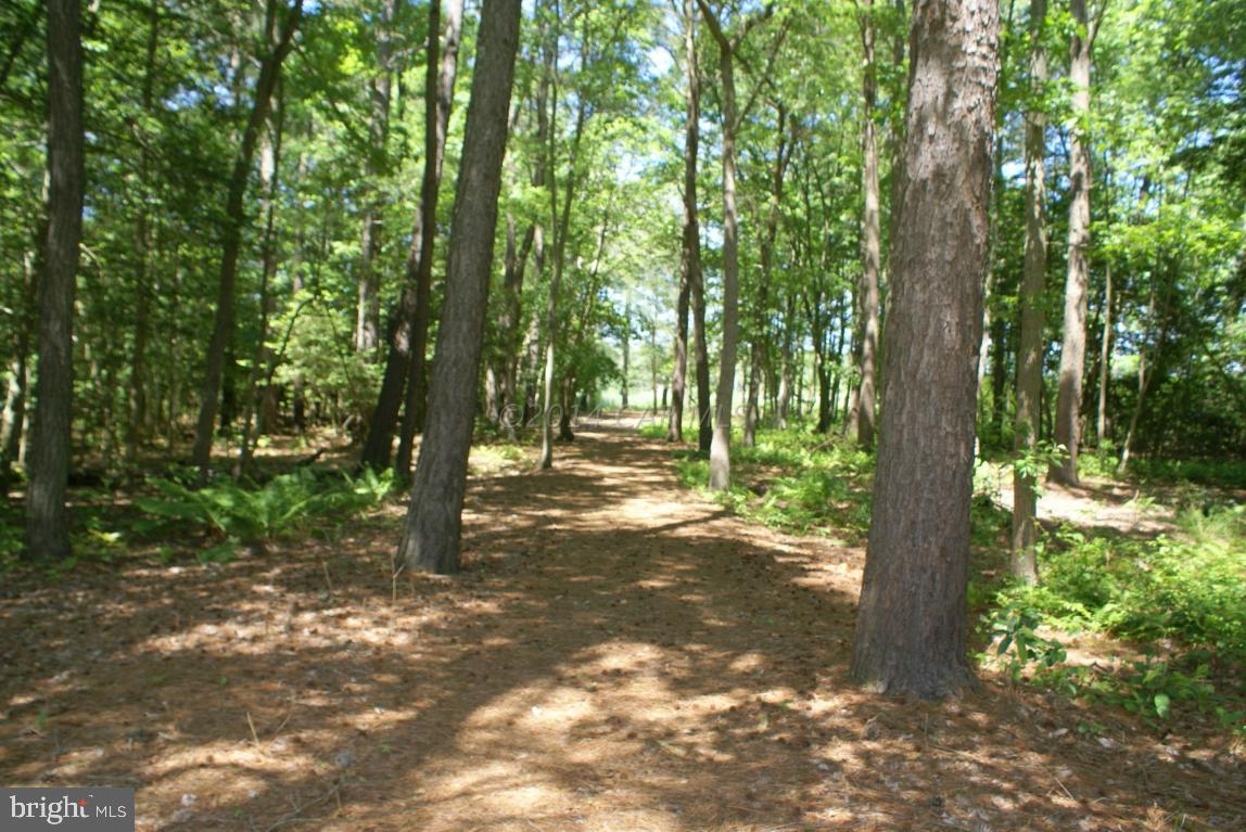 5086 Cooper Road Eden, MD 21822 - Photo 59 of 63 Gallery Image 59