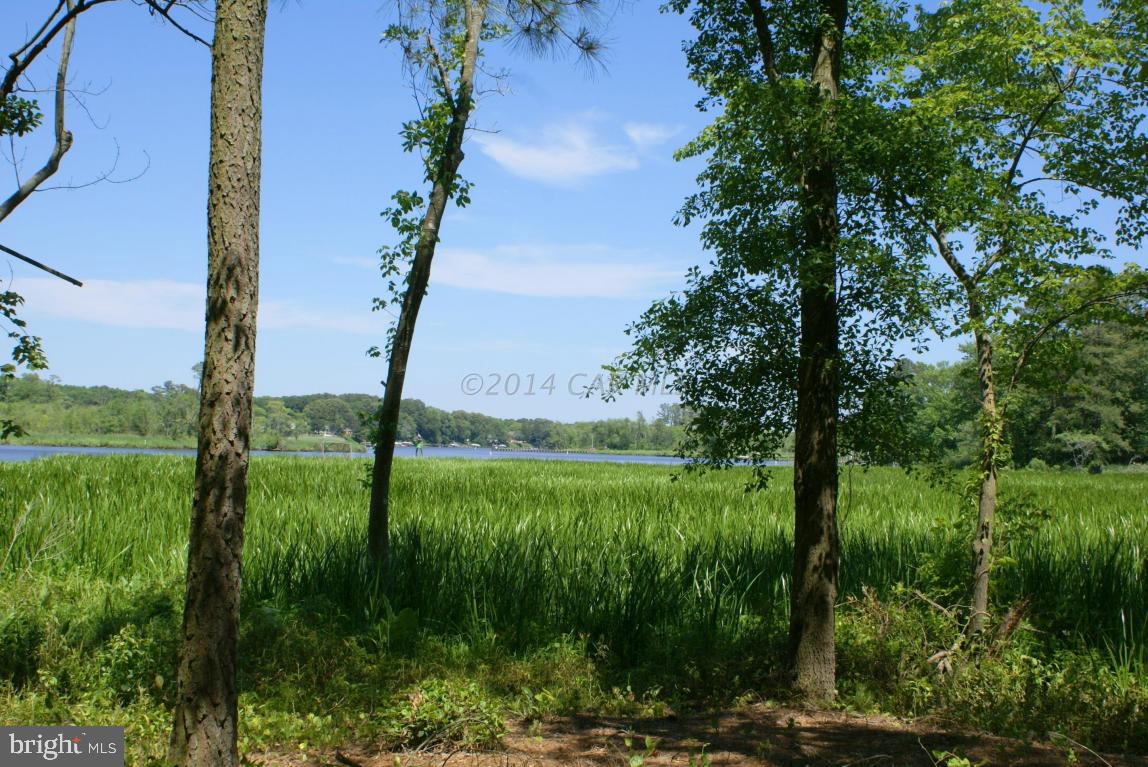 5086 Cooper Road Eden, MD 21822 - Photo 60 of 63 Gallery Image 60