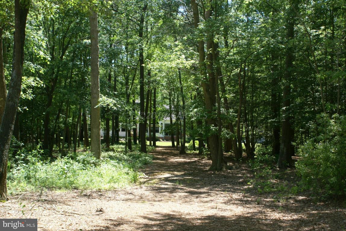 5086 Cooper Road Eden, MD 21822 - Photo 61 of 63 Gallery Image 61