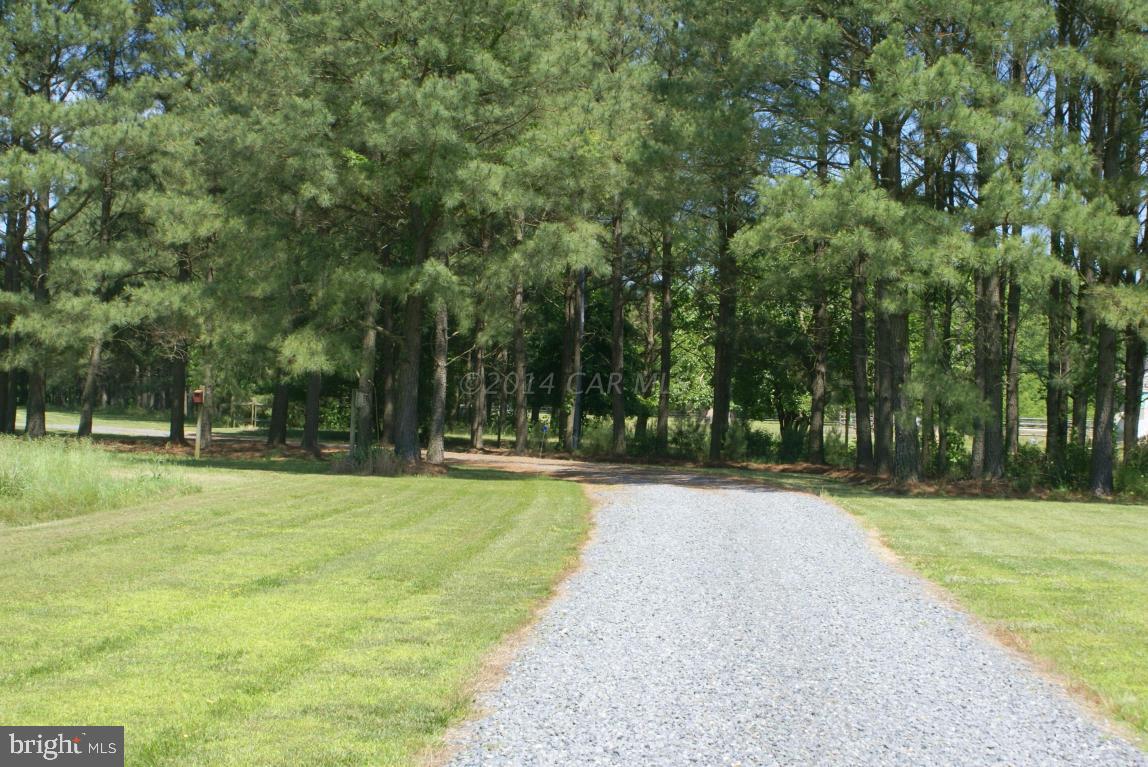 5086 Cooper Road Eden, MD 21822 - Photo 9 of 63 Gallery Image 9