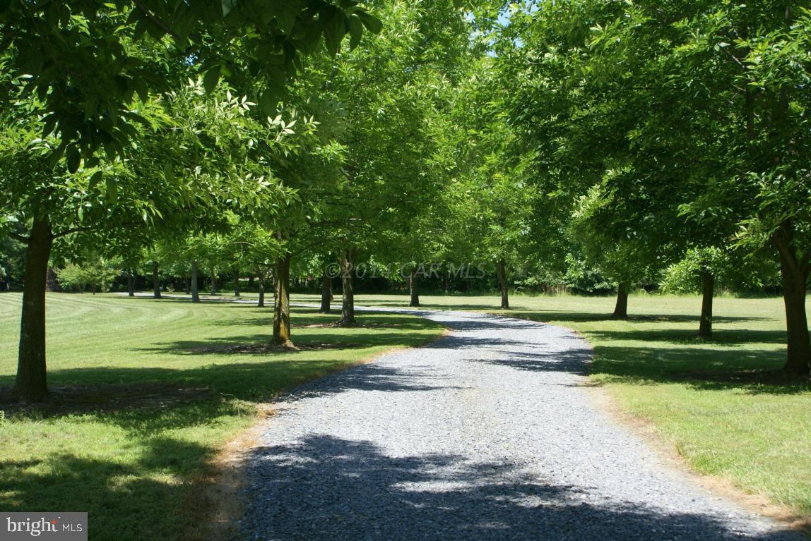 5086 Cooper Road Eden, MD 21822 - Photo 10 of 63 Gallery Image 10