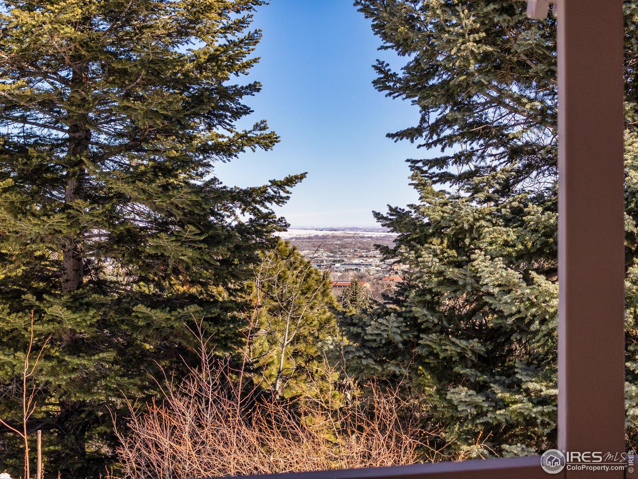 1033 5th Street Boulder, CO 80302 - Photo 11 of 14 view of a tree