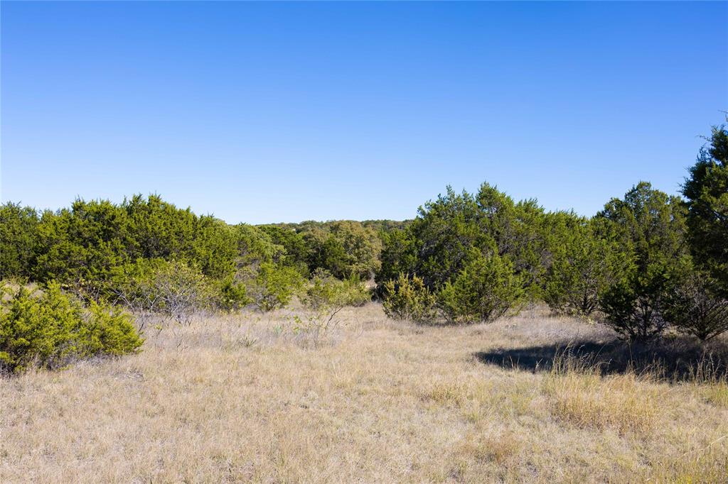 52-acres 52-acres Cr-407 Road Baird, TX 79504 - Photo 14 of 39 a view of a yard with a tree